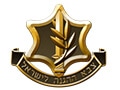 1354117688-200px-IDF_new-1
